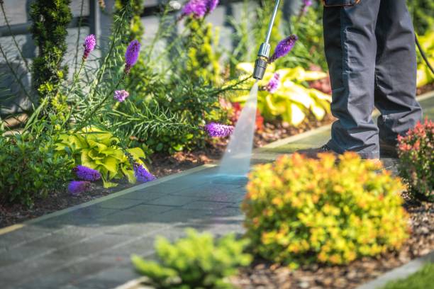 Best Winterizing Services  in Coloma, MI