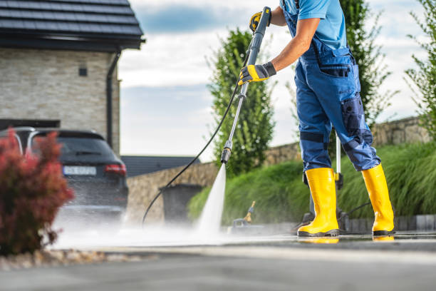 Best Building Exterior Washing  in Coloma, MI